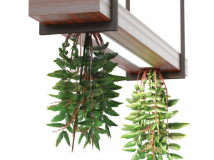 Pendant light with hanging plant FalseSpirea 3D 모델