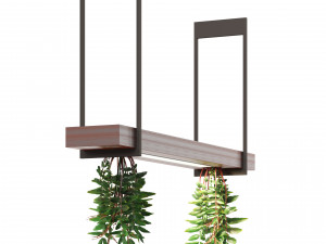 Pendant light with hanging plant FalseSpirea 3D 모델