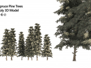 Blue Spruce Pine Trees 3Dモデル