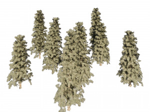 Blue Spruce Pine Trees 3D Model
