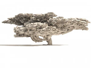 3 Acacia Trees 3D Model