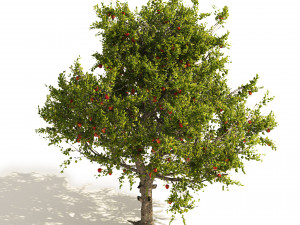 3 Apple trees with apple fruits 3D Model