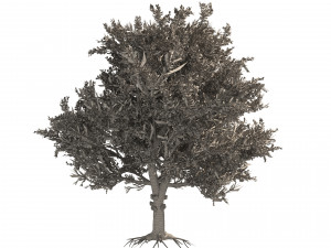 3 Apple trees with apple fruits 3D Model