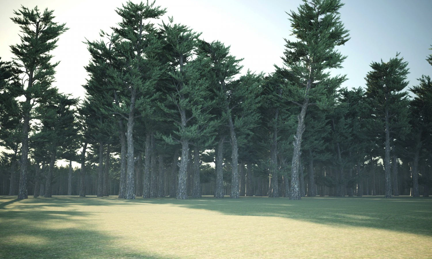 Conifer Forest 3d exterior scene 3D Model .c4d .max .obj .3ds .fbx .stl .blend 