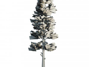 Conifer Forest 3d exterior scene 3D Model