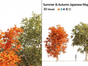 Summer and Autumn Japanese Maple Trees 3D Model
