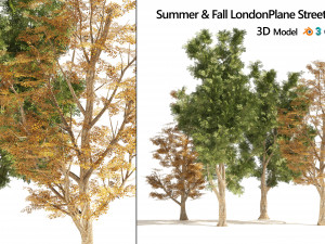 4 Summer Autumn Street London plane trees 3D Model
