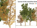4 Summer Autumn Street London plane trees Modello 3D