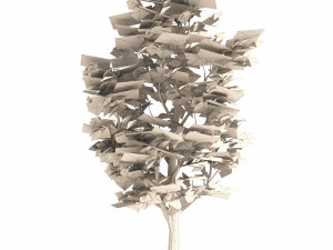 4 Summer Autumn Street London plane trees Model 3D