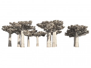 Madagascar Baobab Trees Set 3D Model