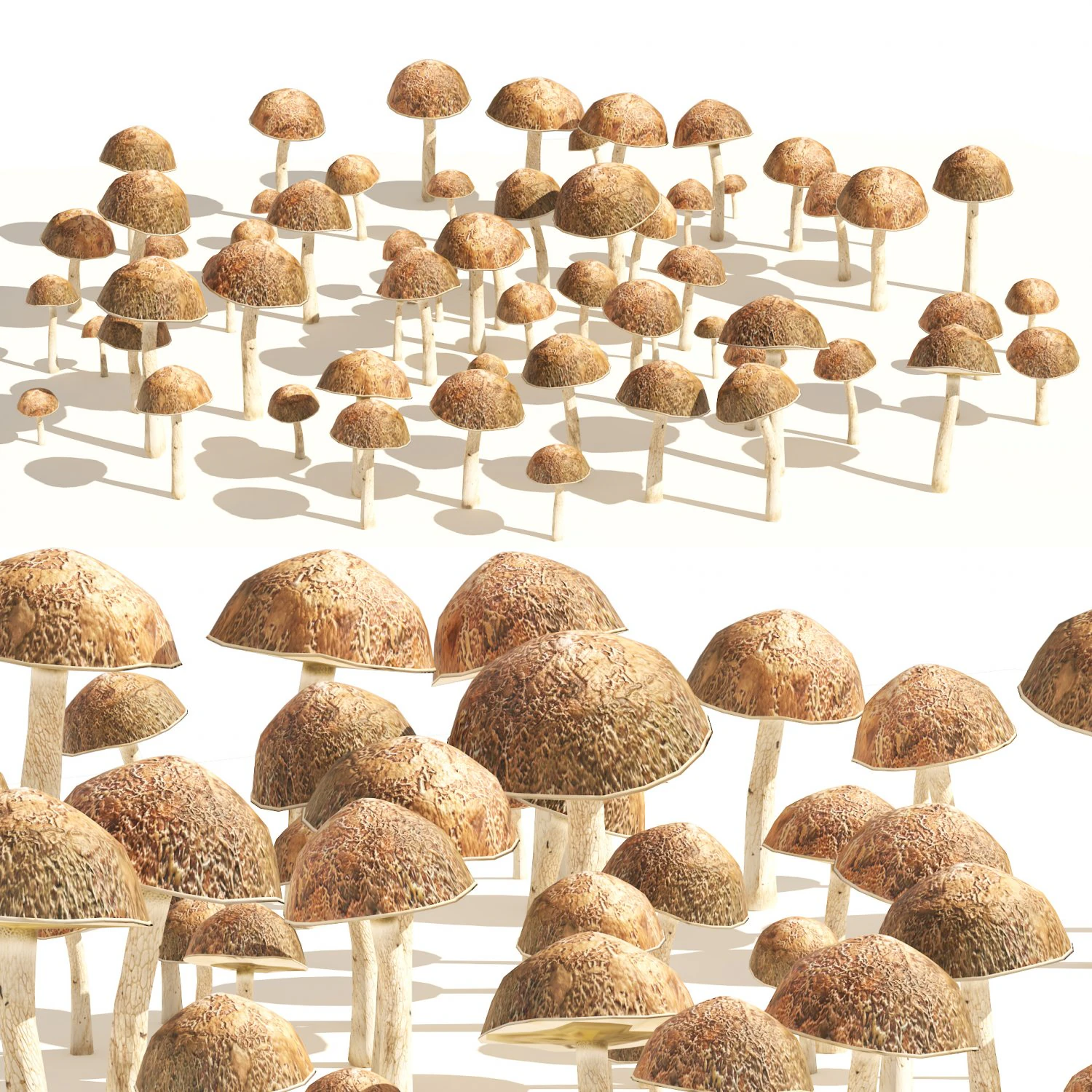 Mushroom Cluster 3D Model .c4d .max .obj .3ds .fbx .stl .blend 