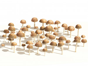 Mushroom Cluster 3D Модель