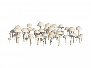 Mushroom Cluster 3D Модель