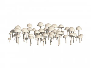 Mushroom Cluster 3D Model