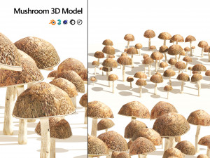 Mushroom Cluster 3D Модель