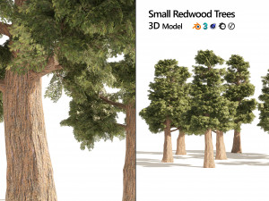 Small Redwoods trees Modèle 3D