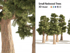 Small Redwoods trees 3D Model