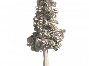 Small Redwoods trees 3D Model