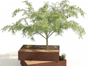 Landscape Bench with Mimosa tree pot 3D Model