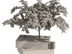 Landscape Bench with Mimosa tree pot 3D Model