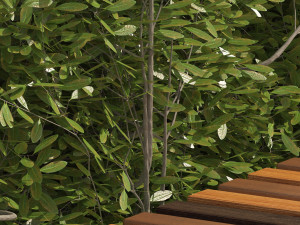 Outdoor Bench with shape topiary plant 3D Model
