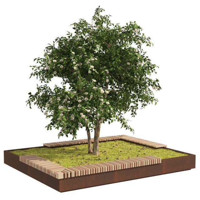 Landscape Garden Bed with spring Korean Stewartia Tree Model 3D .c4d .max .obj .3ds .fbx .stl .blend 