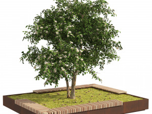 Landscape Garden Bed with spring Korean Stewartia Tree 3D Model