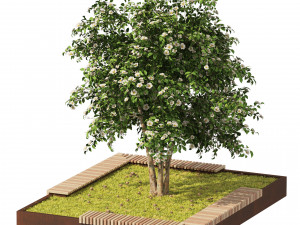 Landscape Garden Bed with spring Korean Stewartia Tree Model 3D