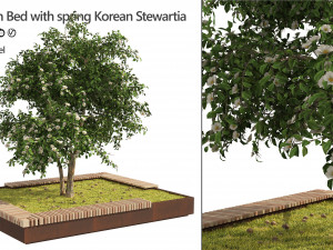Landscape Garden Bed with spring Korean Stewartia Tree Model 3D