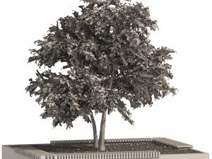 Landscape Garden Bed with spring Korean Stewartia Tree Model 3D