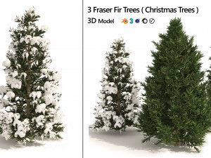3 summer and winter Fraser Fir Christmas Trees Modelo 3D