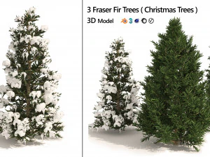 3 summer and winter Fraser Fir Christmas Trees 3D Model