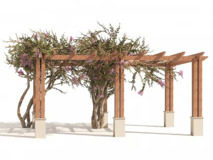 Pérgula de murta de crepe Modelo 3D