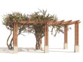 Crape myrtle pergola 3D 모델