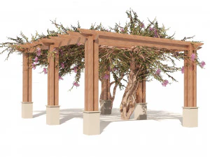 Crape myrtle pergola 3D Model