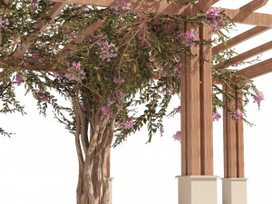 Crape myrtle pergola 3D Модель