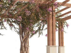 Crape myrtle pergola 3D Model