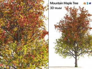 3 colored autumn mountain maple tree 3D Model