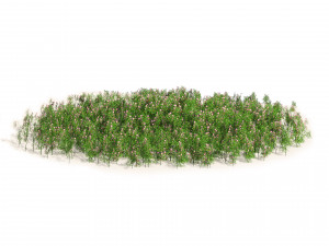 Dog Rose Flower Field 3D Model