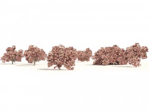 Pink Prunus Flowering Peach Trees 3D Model