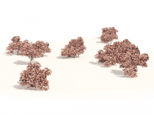 Pink Prunus Flowering Peach Trees 3D मॉडल