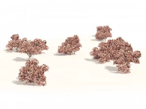 Pink Prunus Flowering Peach Trees 3D Model
