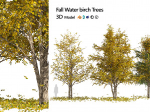 Fall Water birch Trees 3D Модель