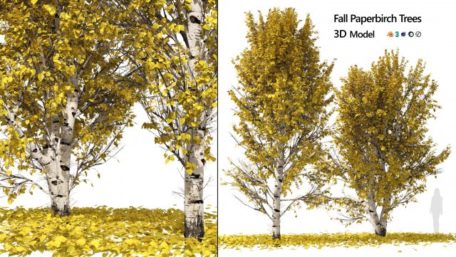 Fall Paper birch Trees Modelo 3D .c4d .max .obj .3ds .fbx .stl .blend