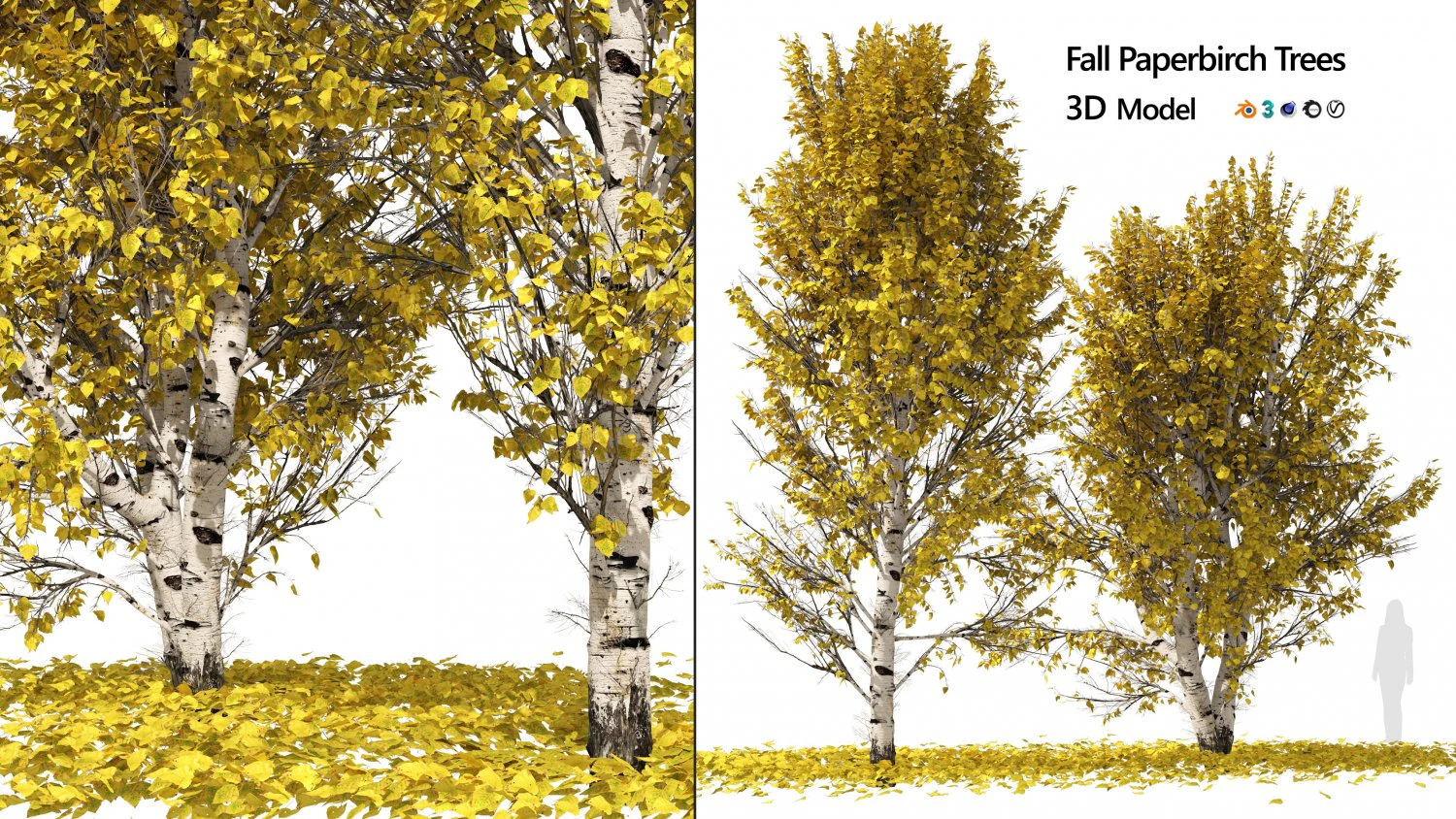 Fall Paper birch Trees 3D Model .c4d .max .obj .3ds .fbx .stl .blend
