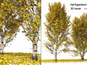 Betulle di carta autunnali Modello 3D