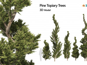 6 conifer topiary trees 3D Model