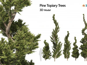 6 conifer topiary trees 3D Model