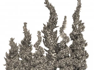 6 conifer topiary trees 3D Model