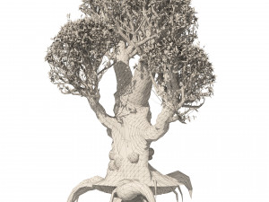 Ancient Olive Tree Model 3D